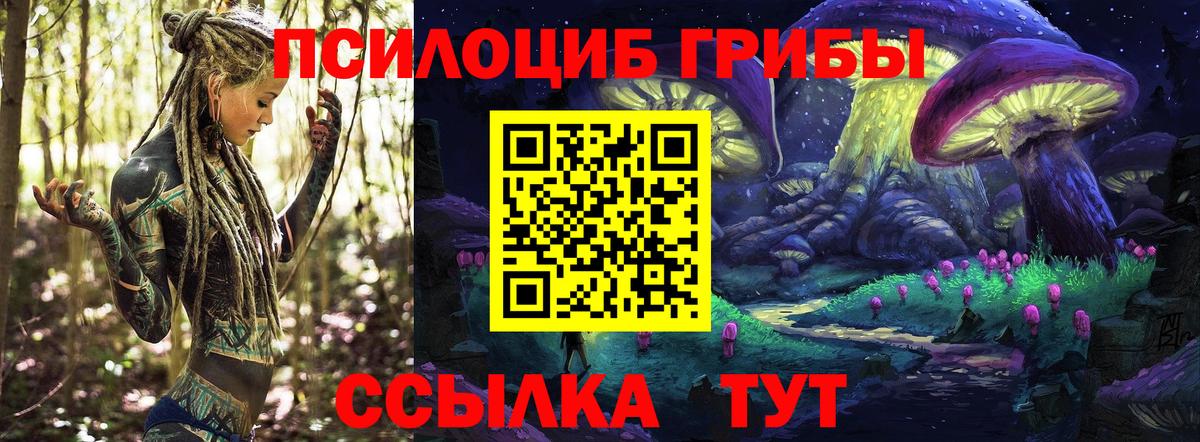 Мурино  Псилоцибиновые грибы Psilocybe  Галлюциногенные грибы мицелий  Вход с VPN 