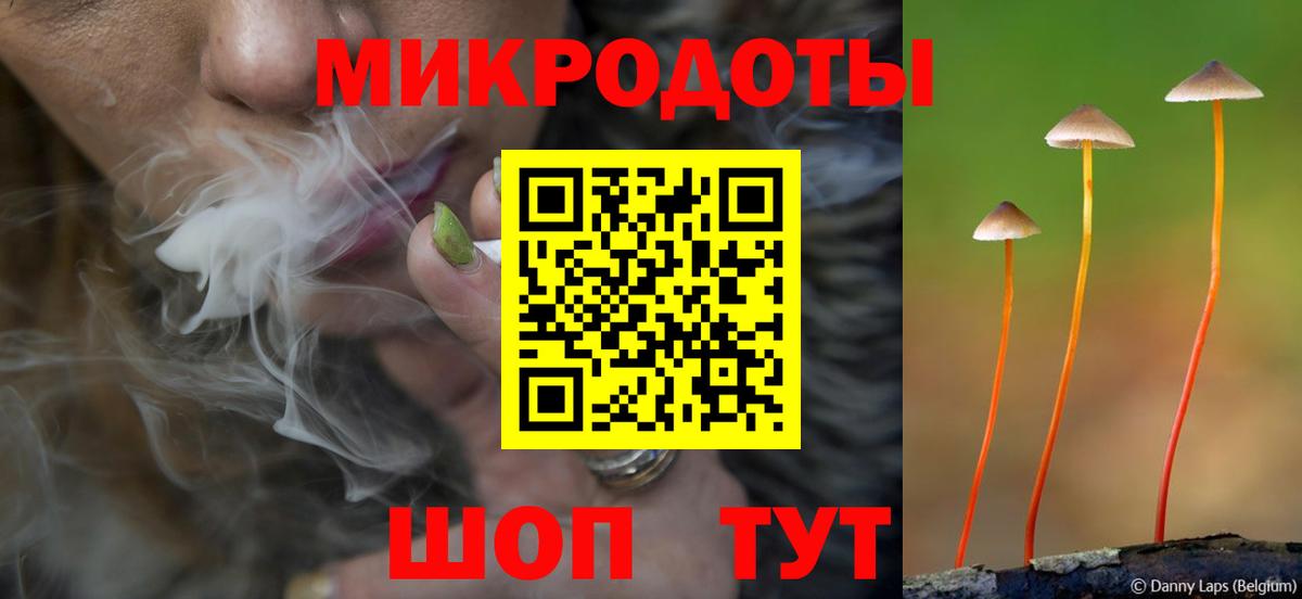 Галлюциногенные грибы Psilocybe Мурино